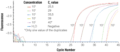 Real-time PCR of extracted DNA from soil 2.2 containing B. anthracis cells. 
